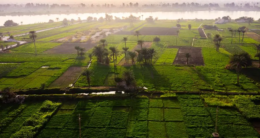 Egypt, Spain explore enhanced agricultural cooperation