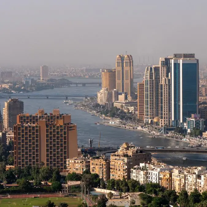 Egypt wins FAO council leadership for 1st time